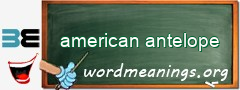 WordMeaning blackboard for american antelope